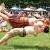 Grandfather Mountain Highland Games.  July 11-14