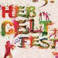 Hebridean Celtic Festival 2014