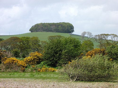wardlaw hill fort