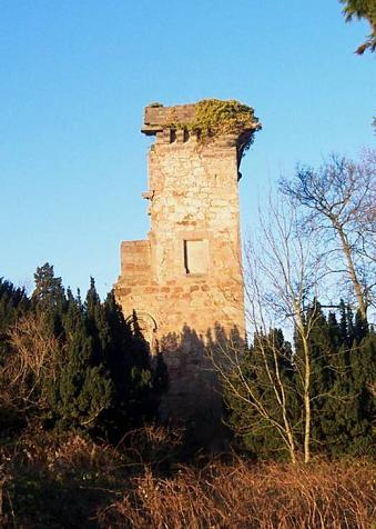 Elphinstone Tower