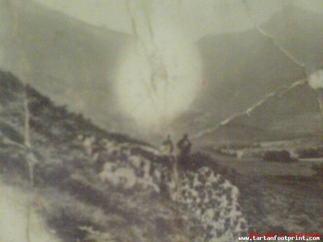 Grandad and sheep on Ben Nevis