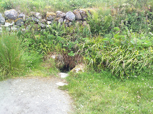 Well of the Dead - Culloden