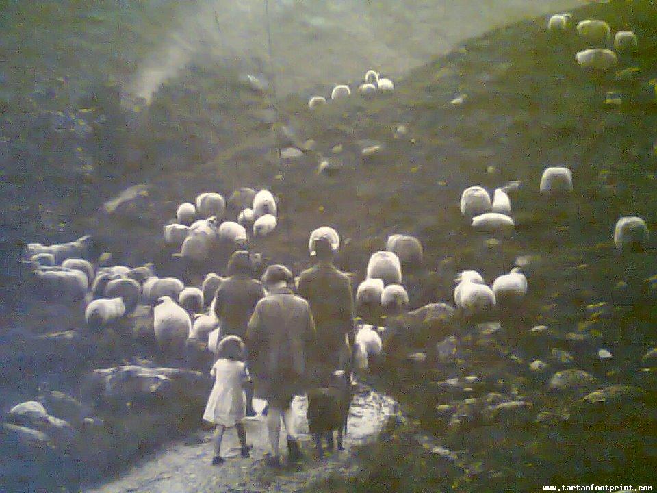 mum in glen