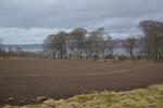 23 - Cromarty Firth