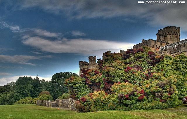 grounds of Toward Castle,Dunoon Scotland,via Flickr
