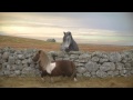 Three - The Pony #DancePonyDance