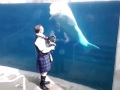 Bagpiper Meets Beluga Whale